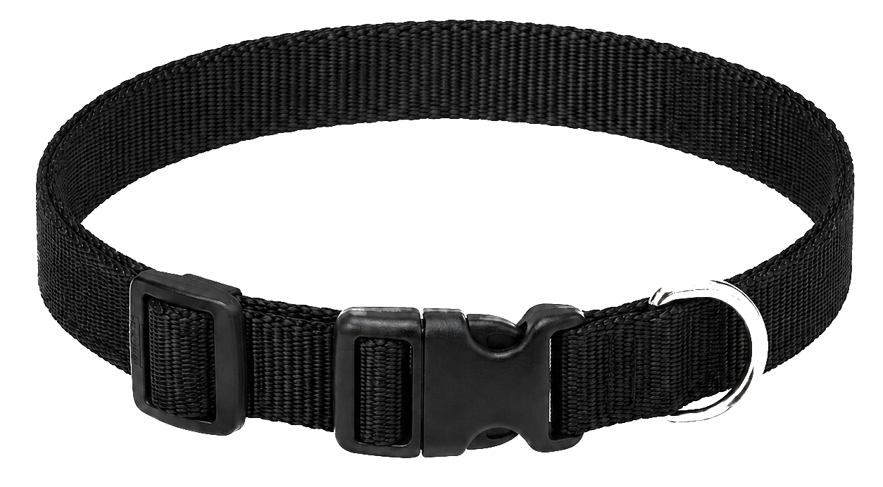 Basic black nylon dog collar with buckle and D-ring